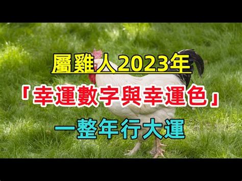 屬雞2023幸運色|2023兔年生肖開運指南！幸運色、幸運數字、招財方位公開，快。